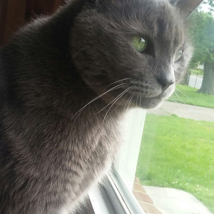 Fundraising Page: William  Jones 